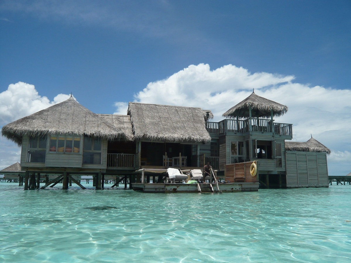 TripAdvisor