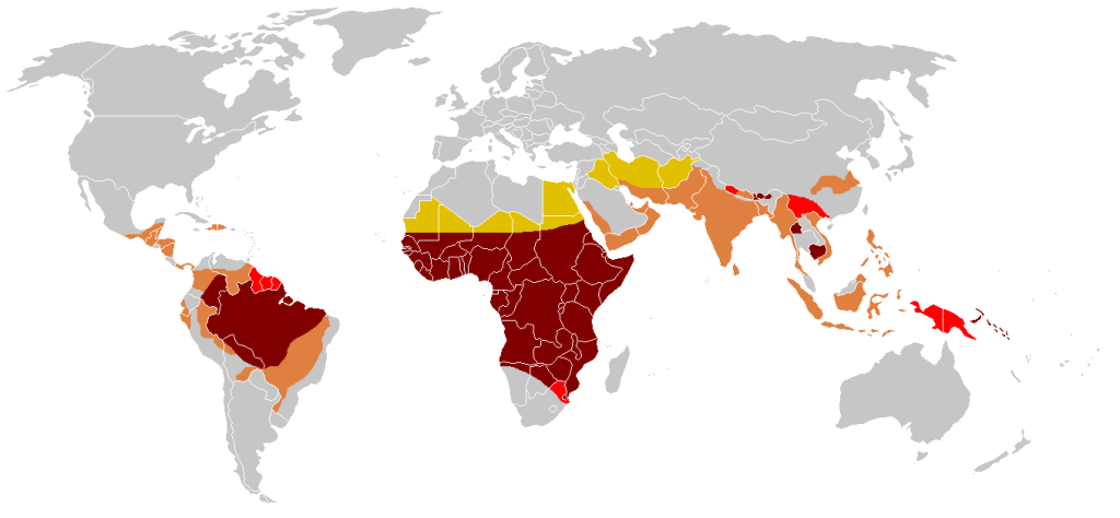 Presenza della malaria: scala del rischio