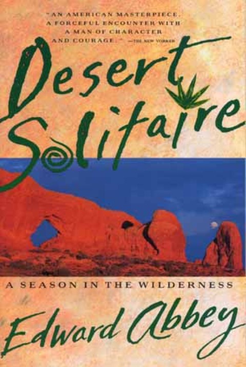 Deserto solitario