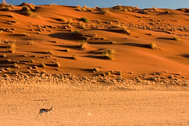 The Complete Guide to Namibia