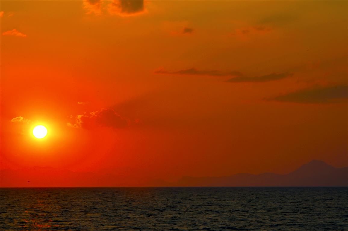 564px (2)
