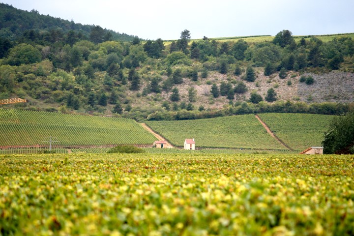 France – Food & Wine Holidays in Europe