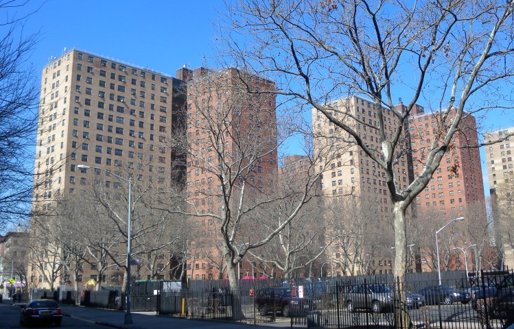 Harlem (5)