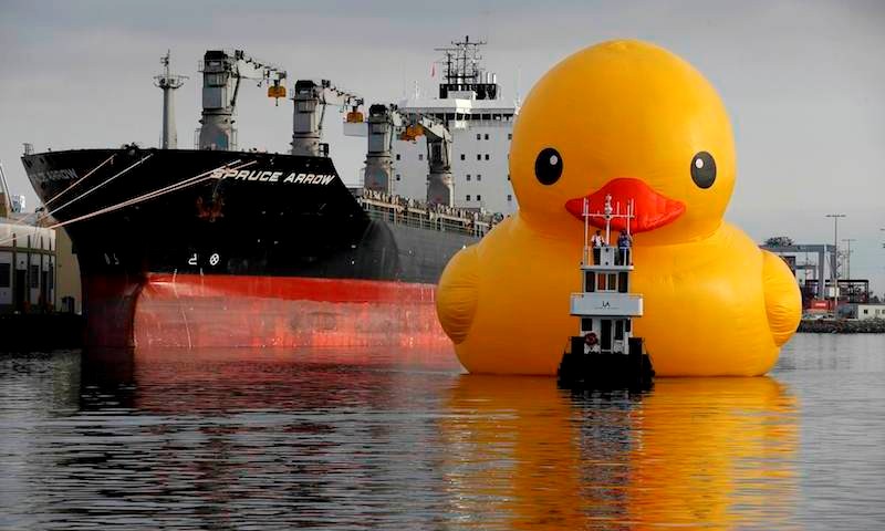 USA-GIANT RUBBER DUCK/