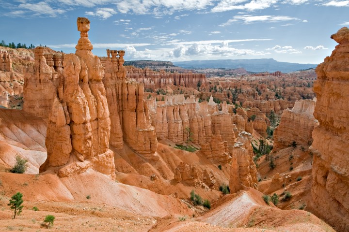 A Hikers Dream: Top 7 National Parks to Hike Through